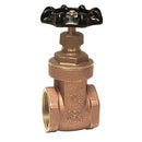 Globe Valve 1/2” IPS