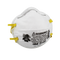 N95 Dust Mask 10/Box